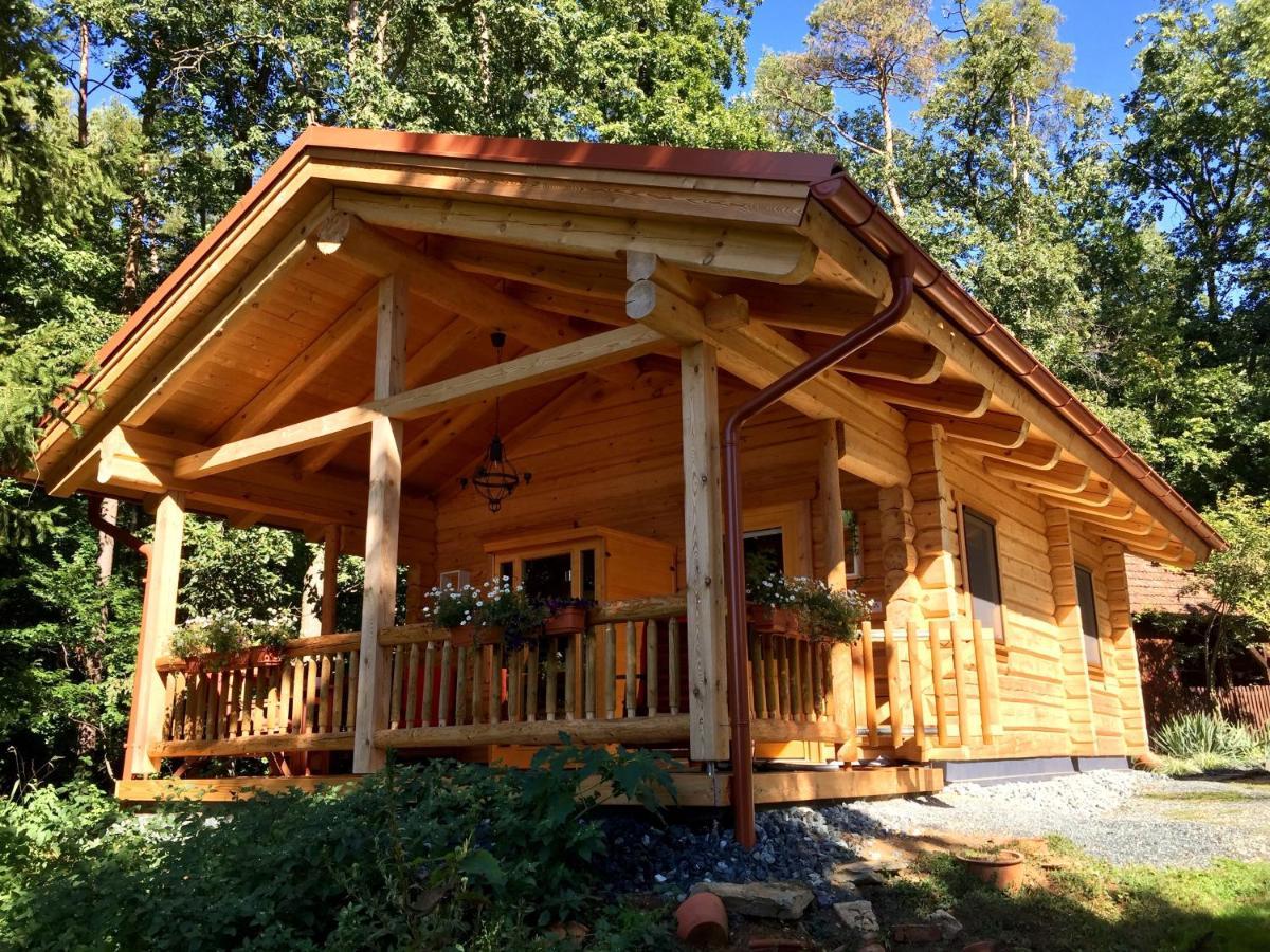 Blockhaus Chalet Mit Beheizbarem Badefass Und Infrarotsauna Auf Der Terrasse Oberschützen Eksteriør billede
